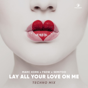 Lay All Your Love On Me (Techno Mix)