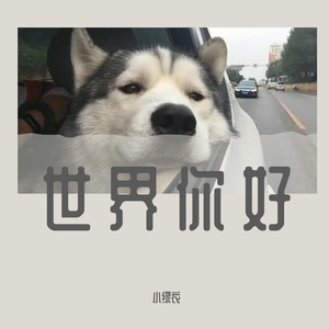 形容Demo