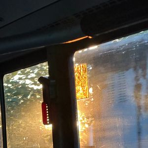 在梦里我们是奔跑的树