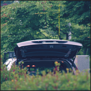 Pareidolia (Single Edit)