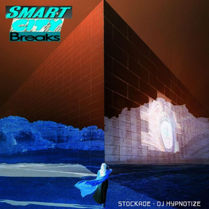 Stockade (Smart City Breaks)