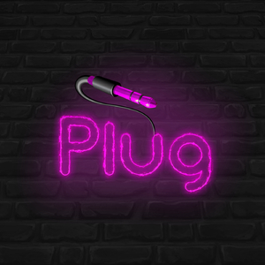 Plug