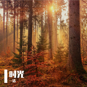 时光