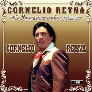 Amplifique Tu Retrato