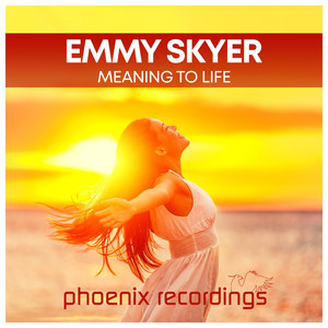Meaning to Life (Extended Mix)