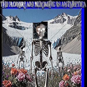 The Flowers Are Blooming in Antarctica