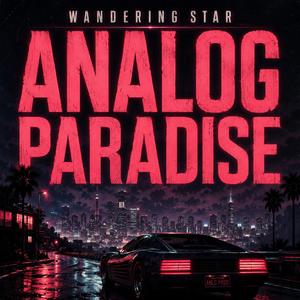 Analog Paradise