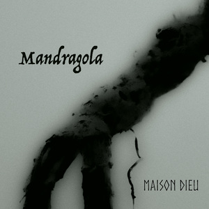 Mandragola