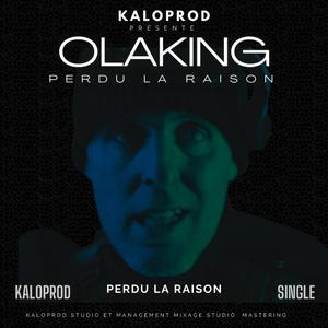 Perdu la raison (feat. Olaking)