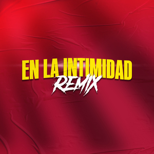 En La Intimidad (Remix)