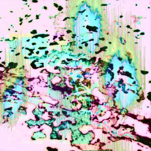 Complexcon (Acid Mix)