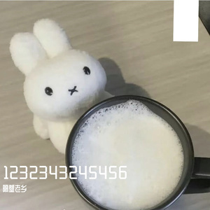 没来过