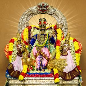 திருப்புகழ் 689 அயில் ஒத்து எழும் (திருமயிலை)