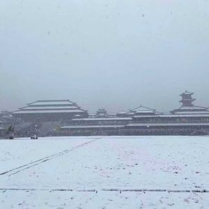 雪落纷飞