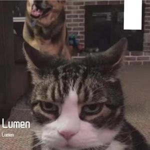 情歌两三首（翻自 Bizka）