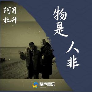物是人非