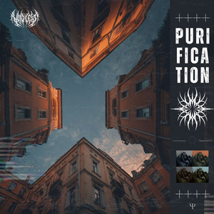 Purification