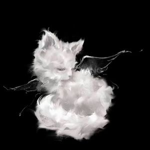 What else should i say（PROD BY Crazy Yan）