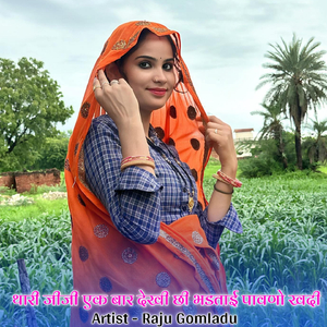 थारी जीजी एक बार देखी छी भडताई पावणो खदी