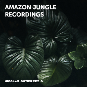 Jungle Dawn with Soft Rain on the Trees