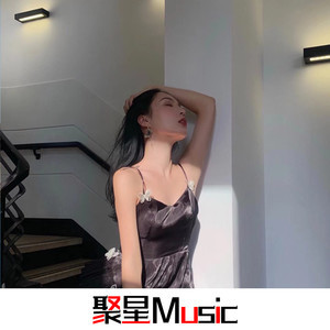 输了败了不见了(Remix)