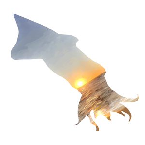 Cephalopod's Lullaby