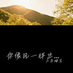 你像风一样出现dj (Cover 玉芬)