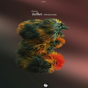 Aether (Fatih Çalın Remix)