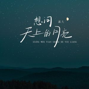 想问天上的月亮