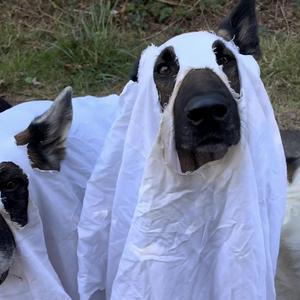 To Be With You Blues