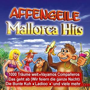 Ein Stern (...der Deinen Namen trägt)