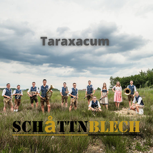 Taraxacum