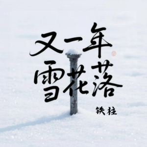 又一年雪花落