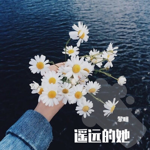 忽然之间片段