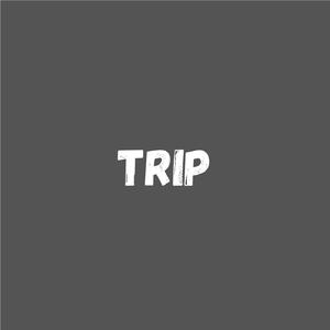 trip