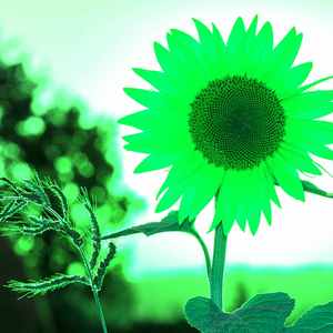 柔和的工作重点时刻