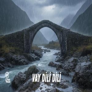 VAY DİLİ DİLİ