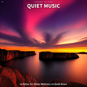 Quiet Music