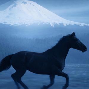 Caballo