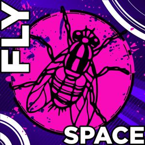 Clumsy Fly Space #1298