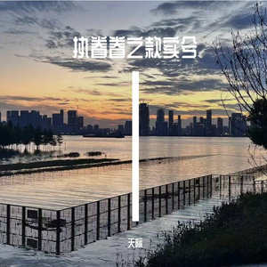 执眷眷之款实兮