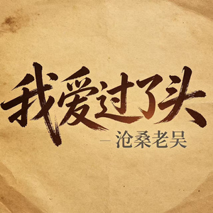 我爱过了头（我思故我在）(DJ版)