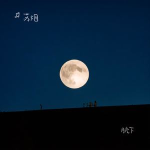 月光下