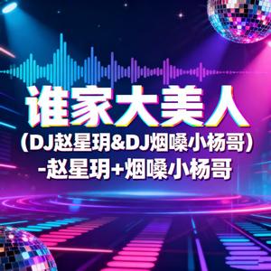 谁家大美人 (DJ赵星玥&DJ烟嗓小杨哥版)