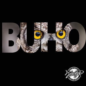 Buho