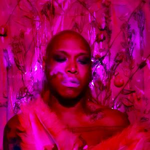 The Cat's Meow (2nd Prrr)