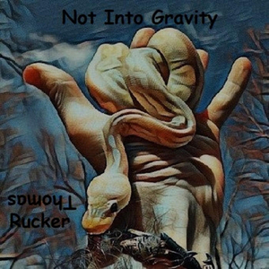 Not Into Gravity