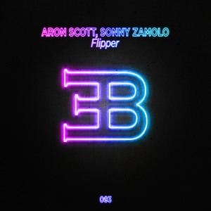 Flipper (Extended Mix)