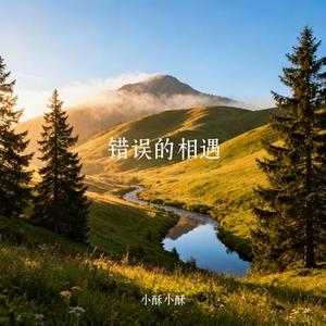 错误的相遇 (Cover 徐洁儿)