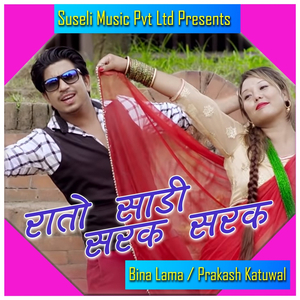 Rato Sadi Sarak Sarak